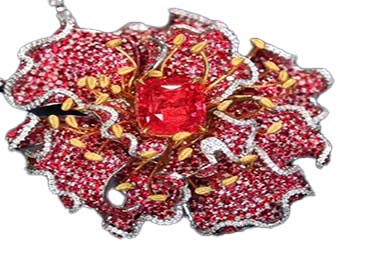 Description of Image 3